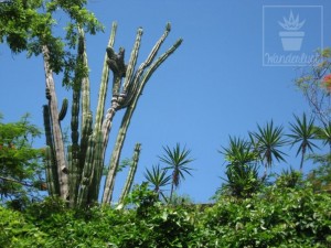 Tamarindo, Costa Rica